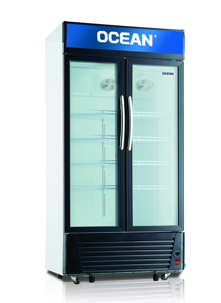 VITRINE 2P 550L OCEAN