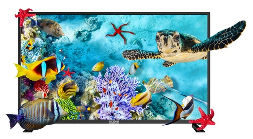 [TVOKO430FWF1] TV SMART 43" FHD + SUPPORT MURAL OCEAN